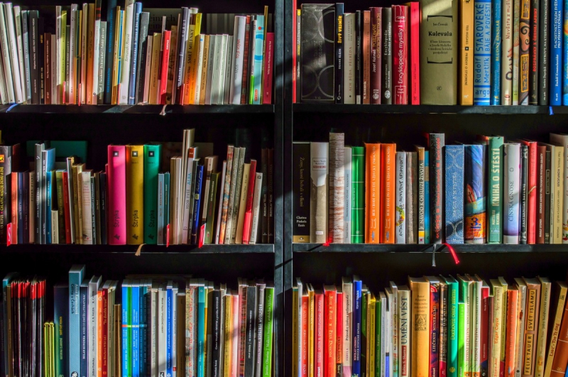 vente-LA CADIERE D AZUR-min_books_bookstore_book_reading_shop_writer_sale_books_read-822866